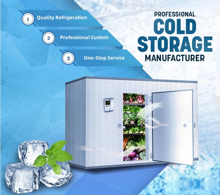 ARTECO Customized Fruit and Vegetable Cold Storage 1