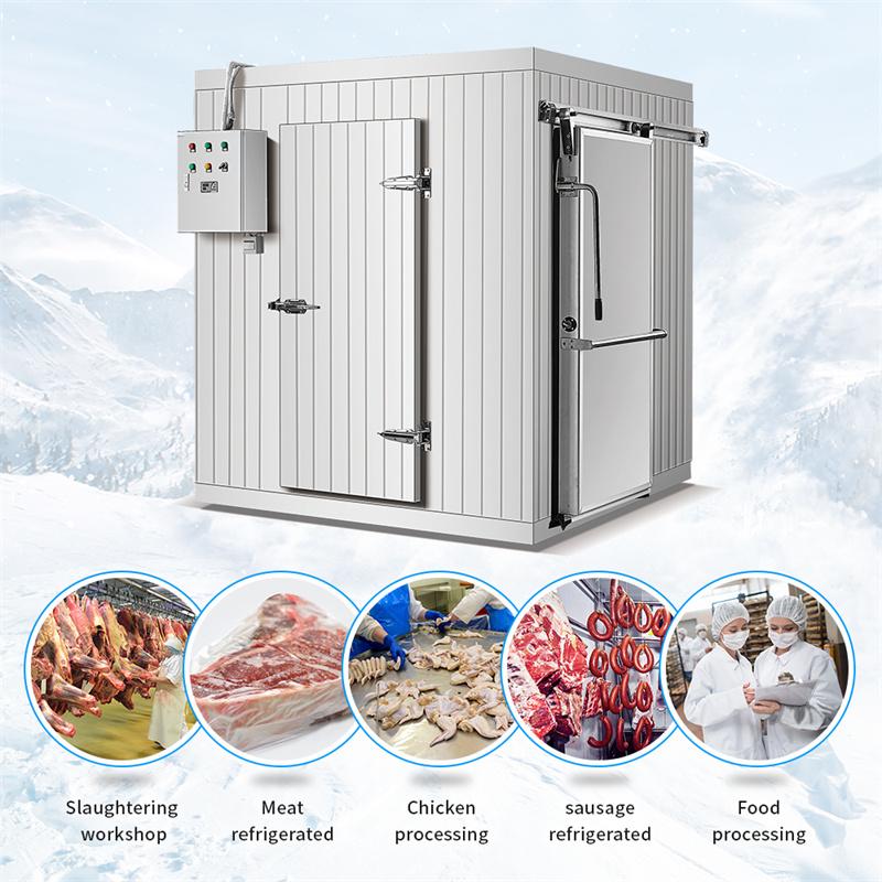 ARTECO Walk In Freezer Room For Fish And Meat 2