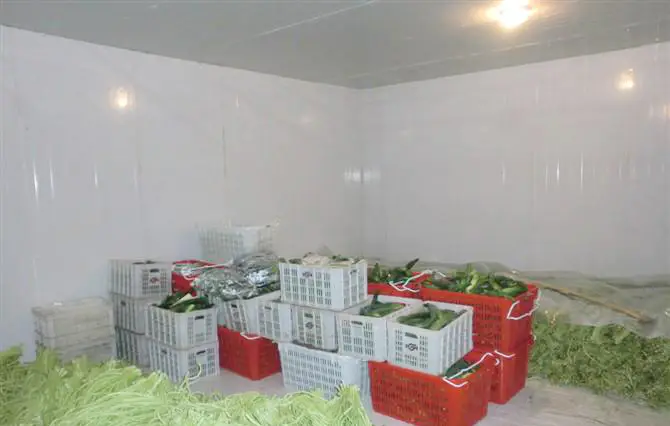 ARTECO Commercial Cold Room for Vegetables 1